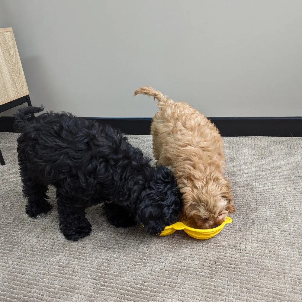All For Paws Calming Pals Peanut Shake