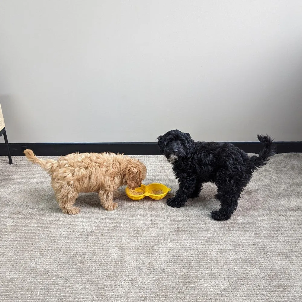 All For Paws Calming Pals Peanut Shake