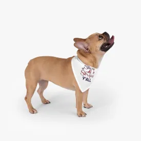 Americana Pet Tie Bandana