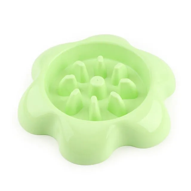 Anti Choke Dog Feeding Food Bowls