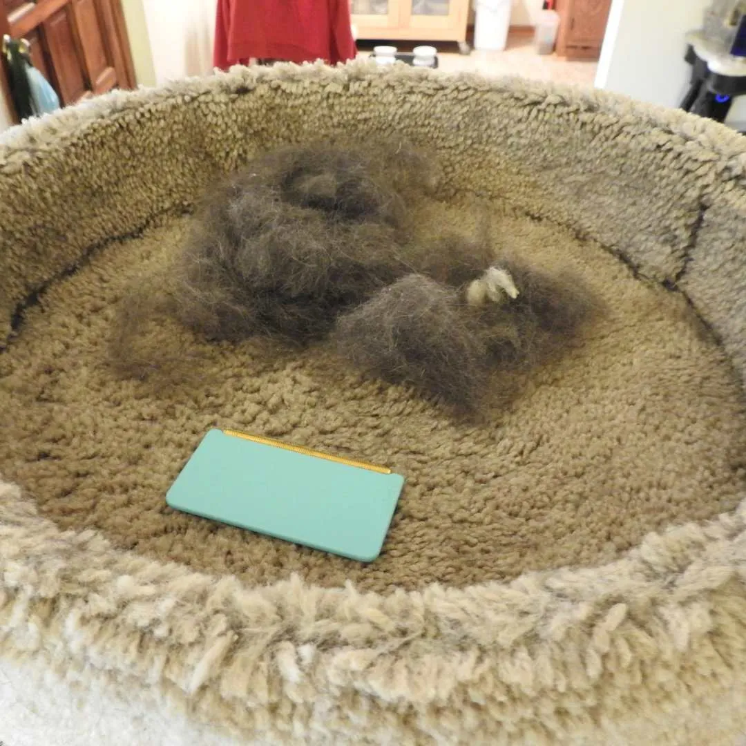 Basic Fur-Free Kit - Uproot Pro & Mini