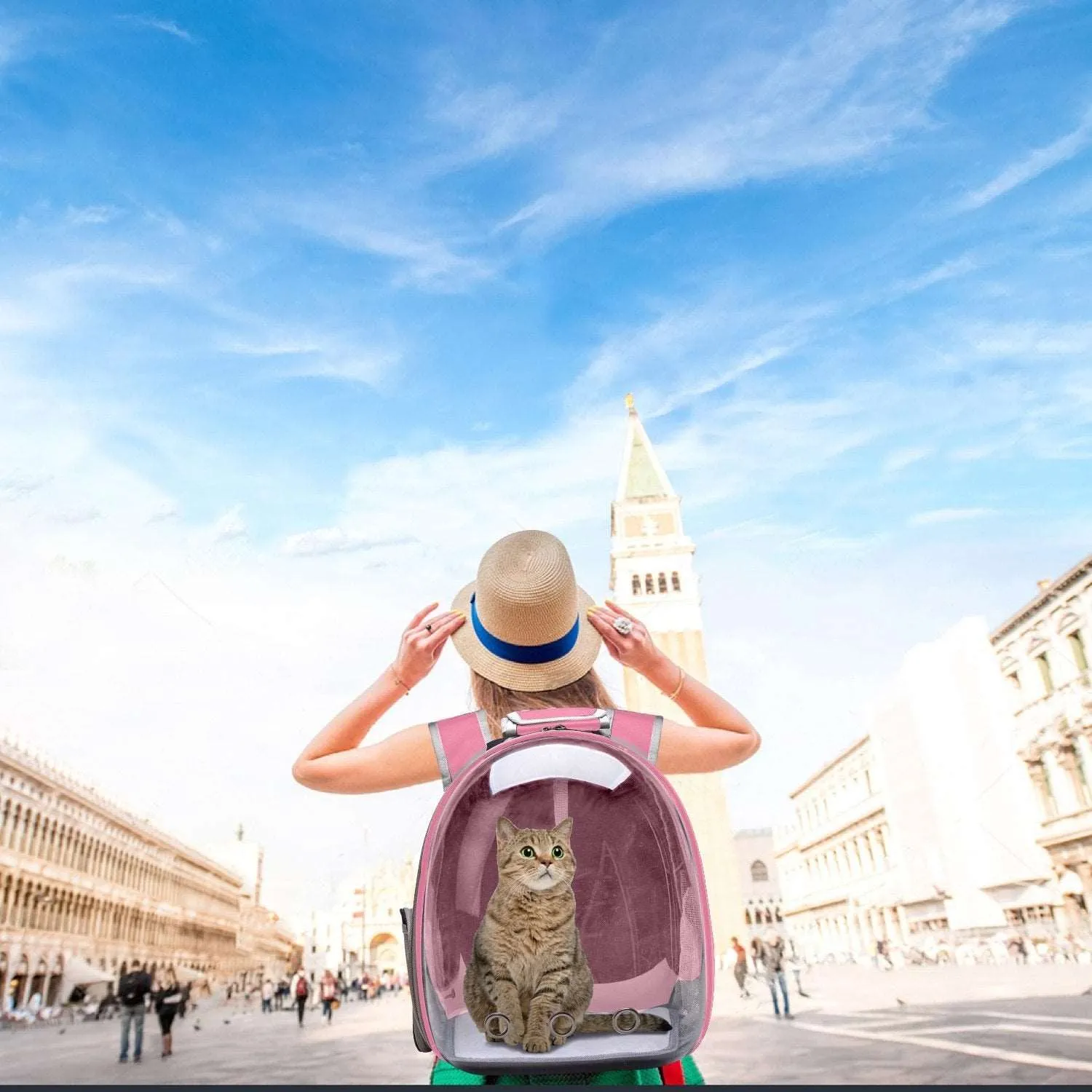 Breathable Cat Carrier Capsule Bag