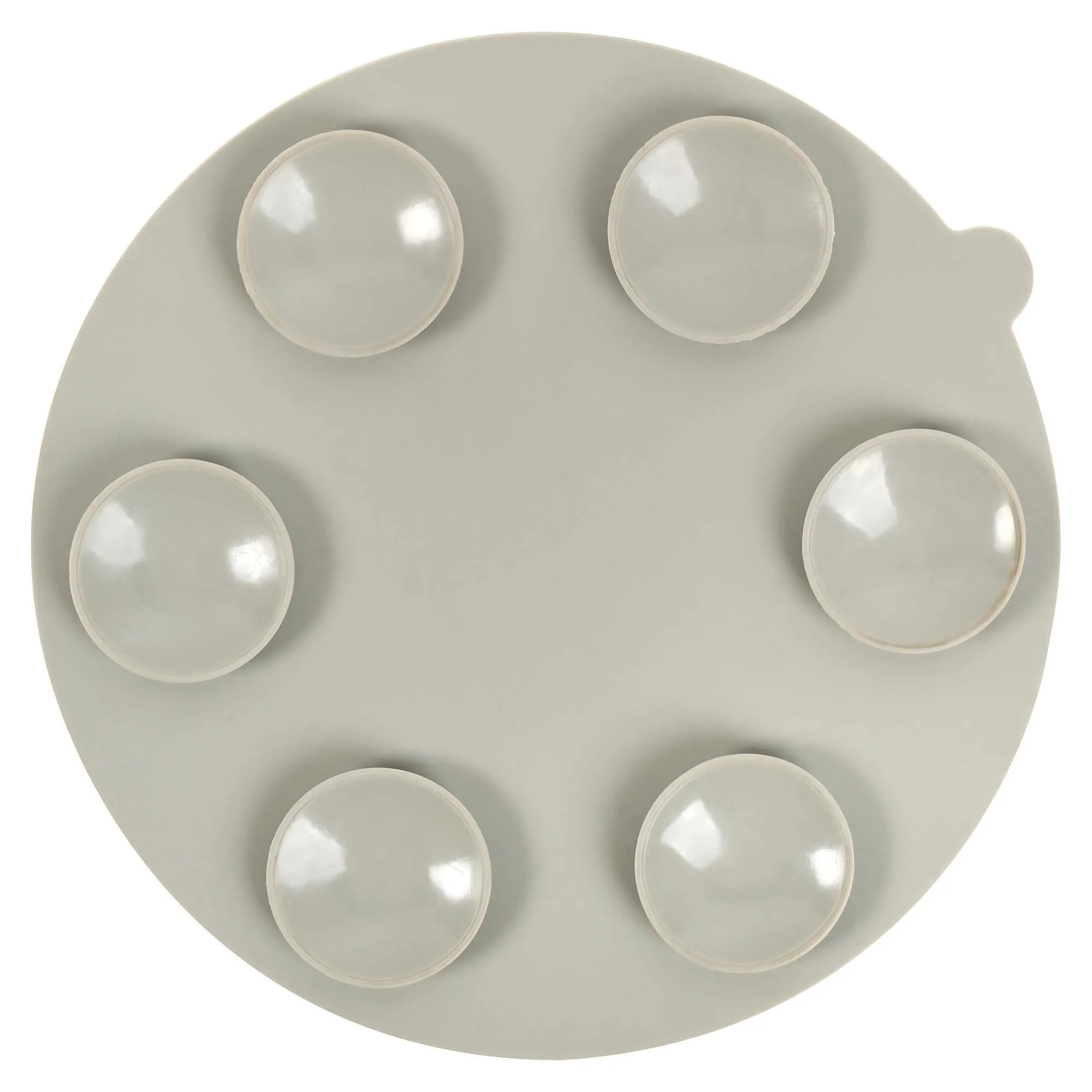 Buddy & Belle Slow Feeder Dog Bowl Insert