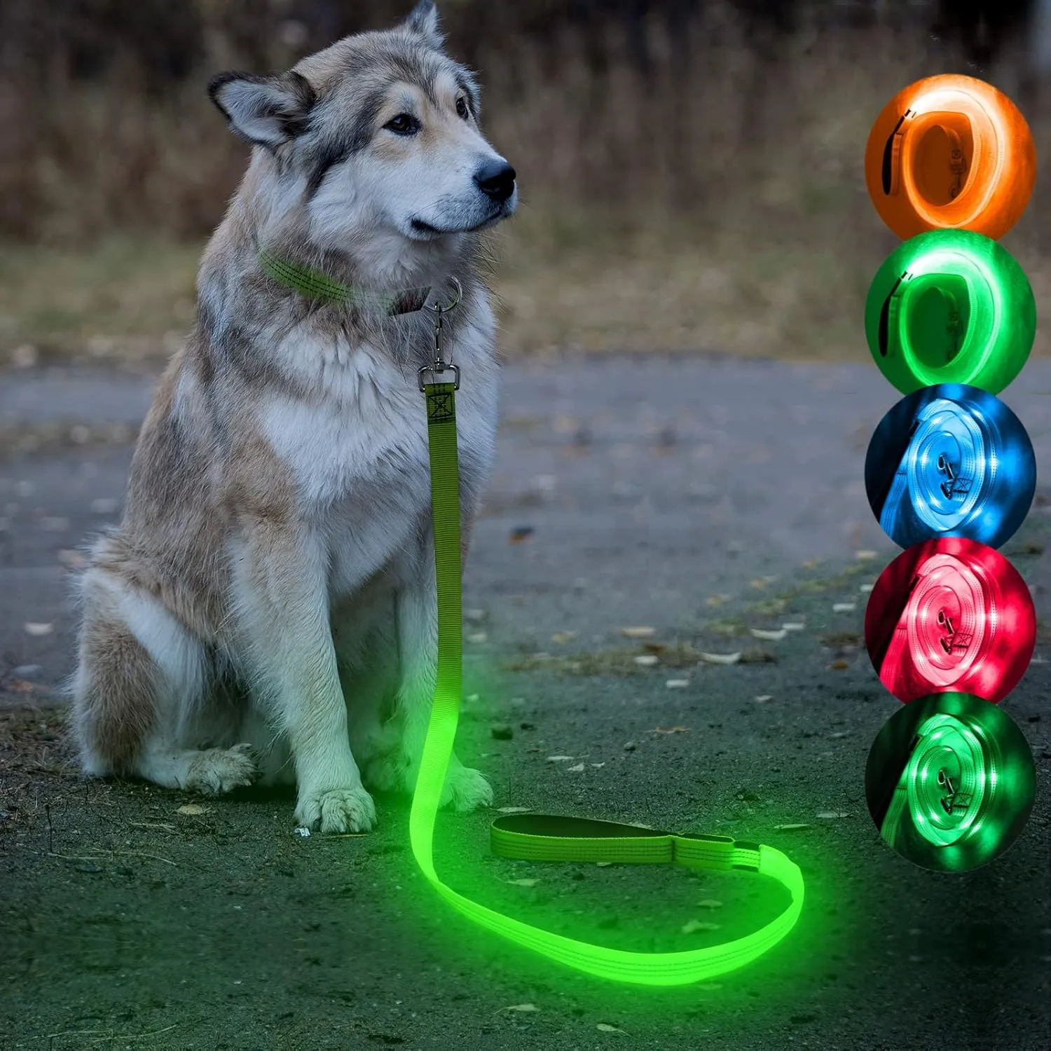 Candofly  LED     4 ( 1.8 ),,()