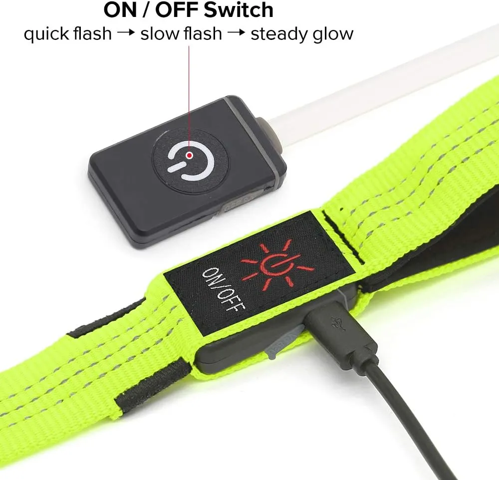 Candofly  LED     4 ( 1.8 ),,()