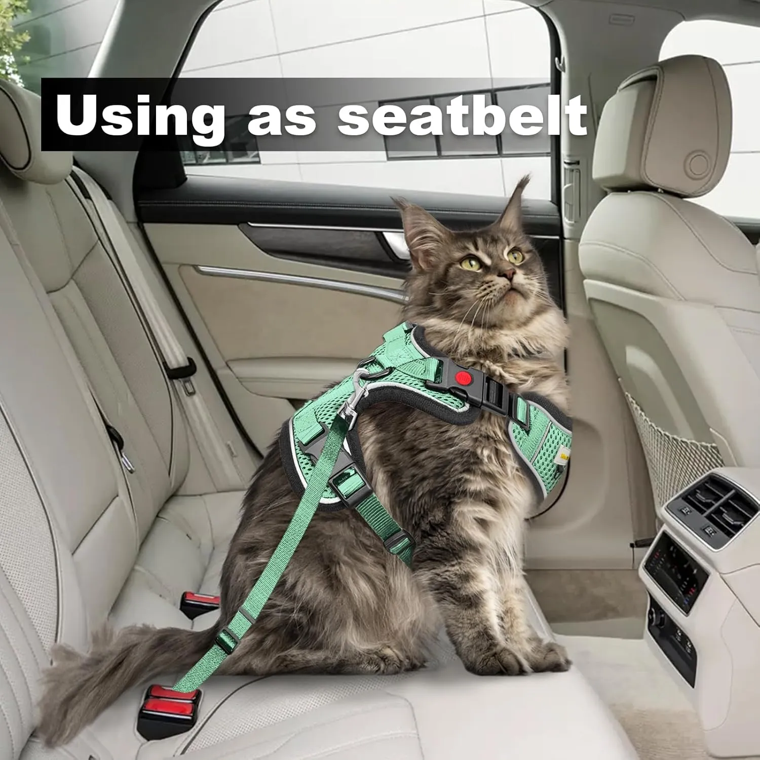 Cat Harness and Leash for Walking, Retractable Cat Harnesses and Leash Set Escape Proof, Breathable Soft Kitten Small Large Harness for Travel Training and Walking, Green, M