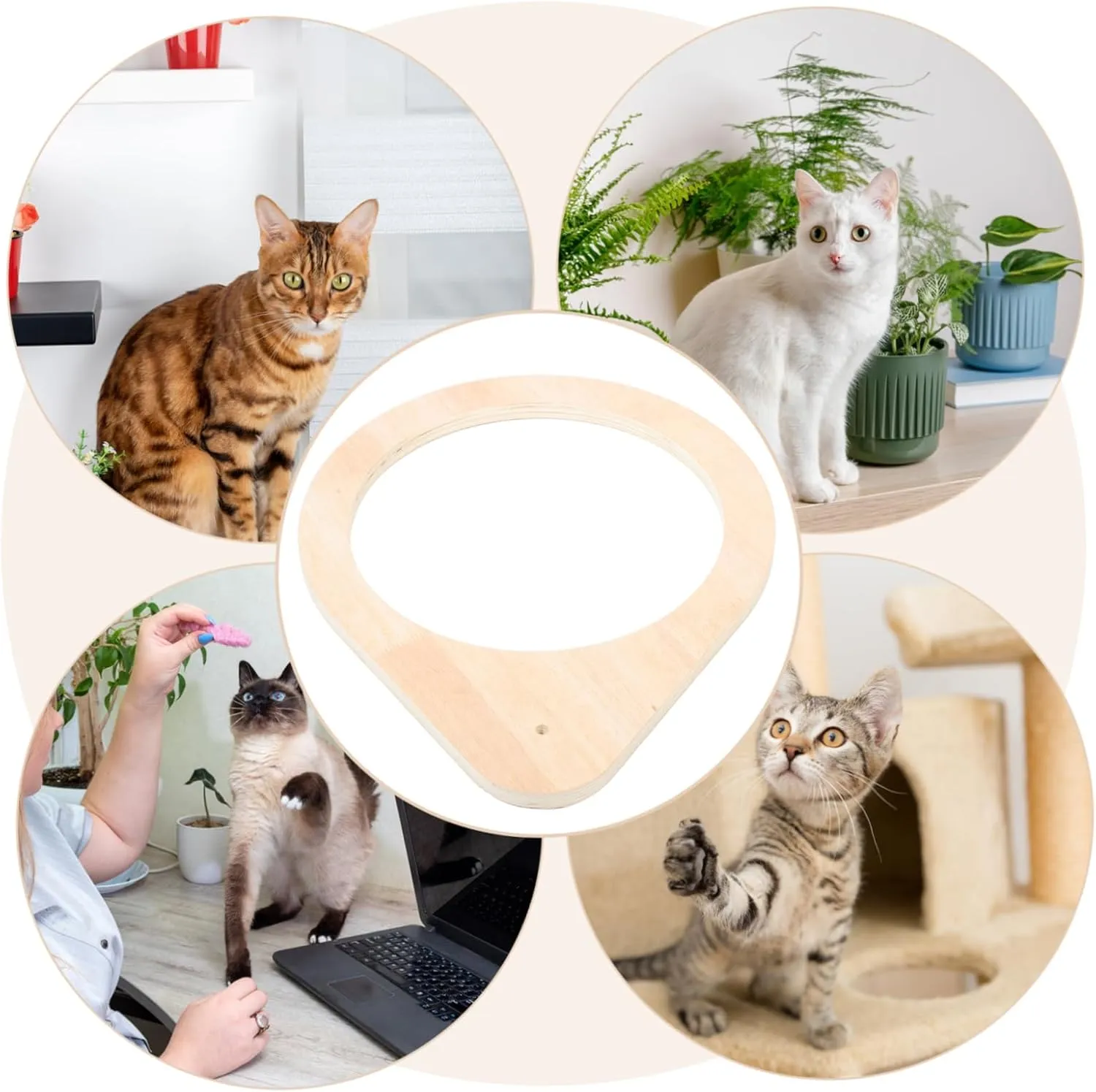 Cat Perch Frame and Scratching Post Accessory Wooden Cat Bed Holder Spacious Design for Play and Rest Modern Minimalist Supply