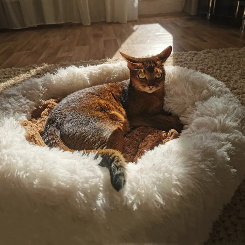 Dog Bed Plush Dog Beds for Dog Bed Labrador