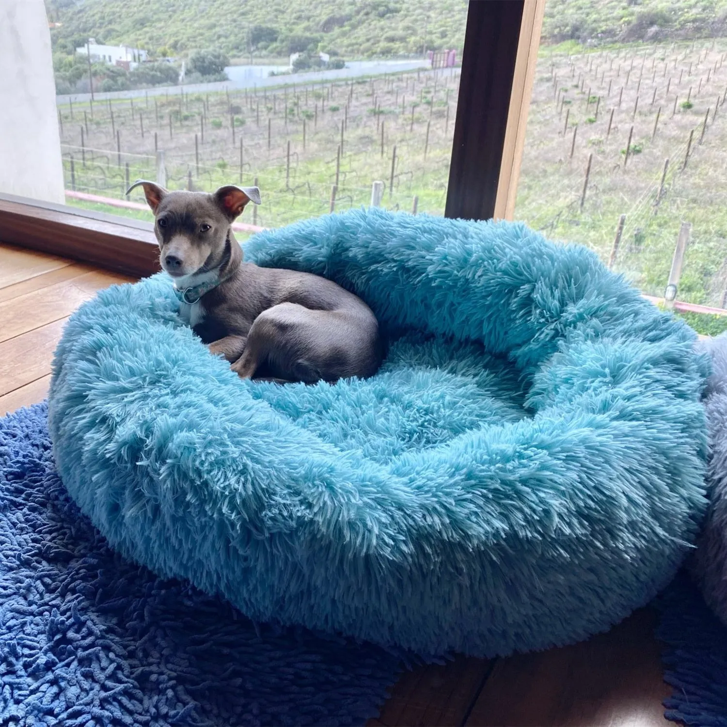 Dog Bed Plush Dog Beds for Dog Bed Labrador