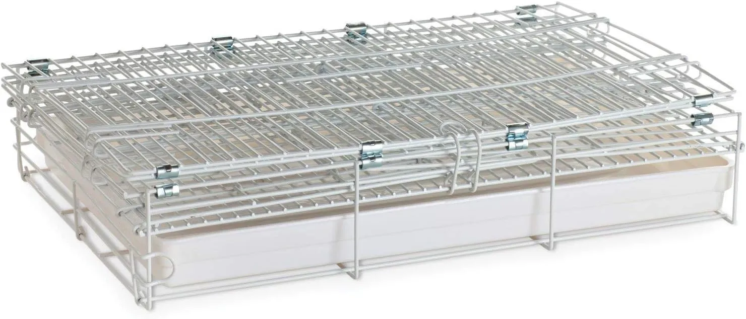 Easy Foldable Travel Vet Bird Parrot Cage Carrier Handle with Stainless Feeder Bowls and Natural Wooden Stand Perch Prevent Beaks Out