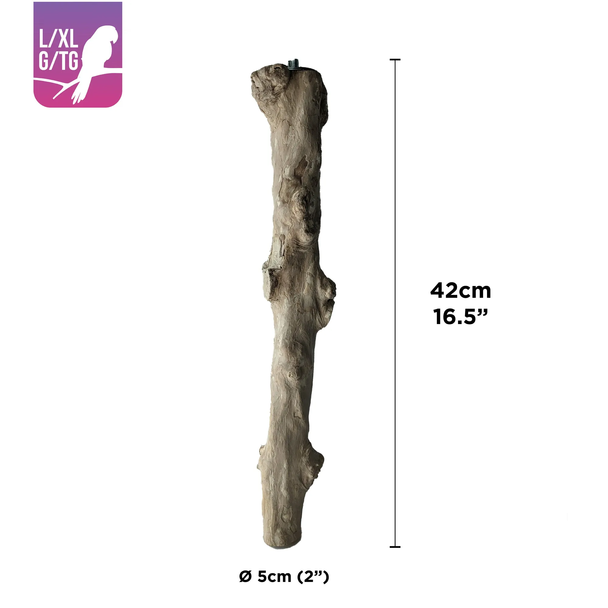 HARI Java Coffee Wood Perch for Large x x large Parrots - 5 cm (2 in) diameter x 42 cm (16.5 in) L