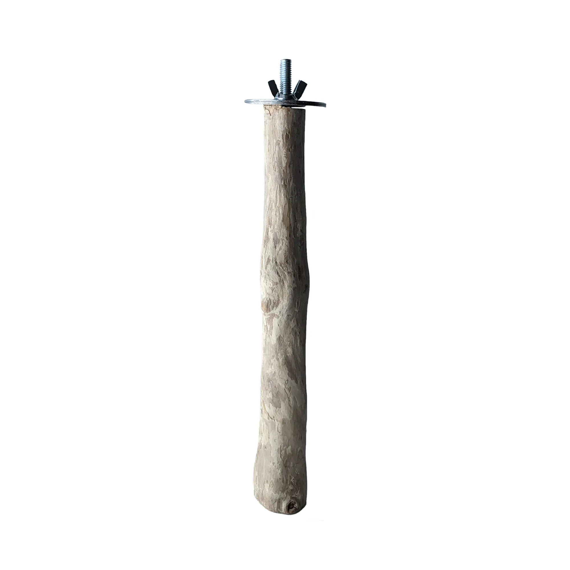 HARI Java Coffee Wood Perch for Small x Medium Parrots - 3 cm (1 in) diameter x 24 cm (9.5 in) L