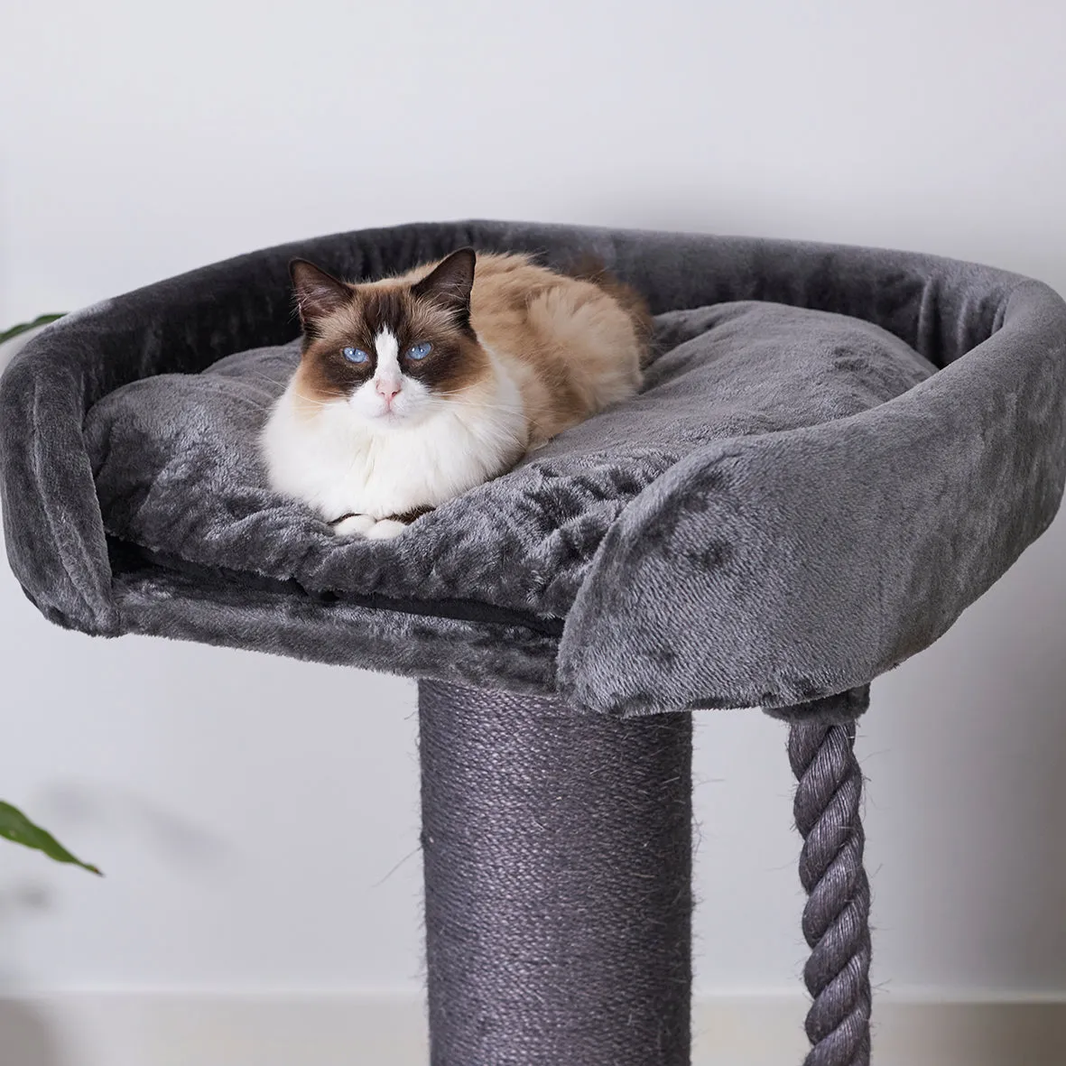High Bed Cat Scratch Post - Charcoal Plush