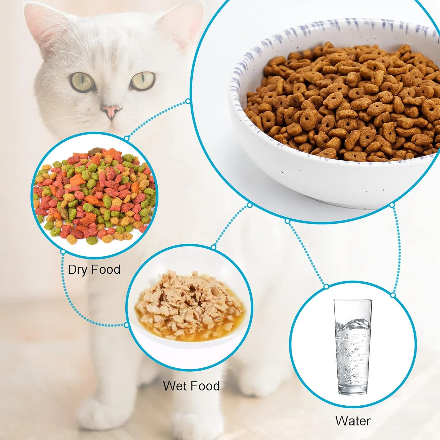 Howise Ceramic Cat Bowls, 5.19 in Cat Food Bowl Cat Dishes for Food and Water, 3 Pack Shallow Pet Bowls for Indoor Cats, White with Violet Blue
