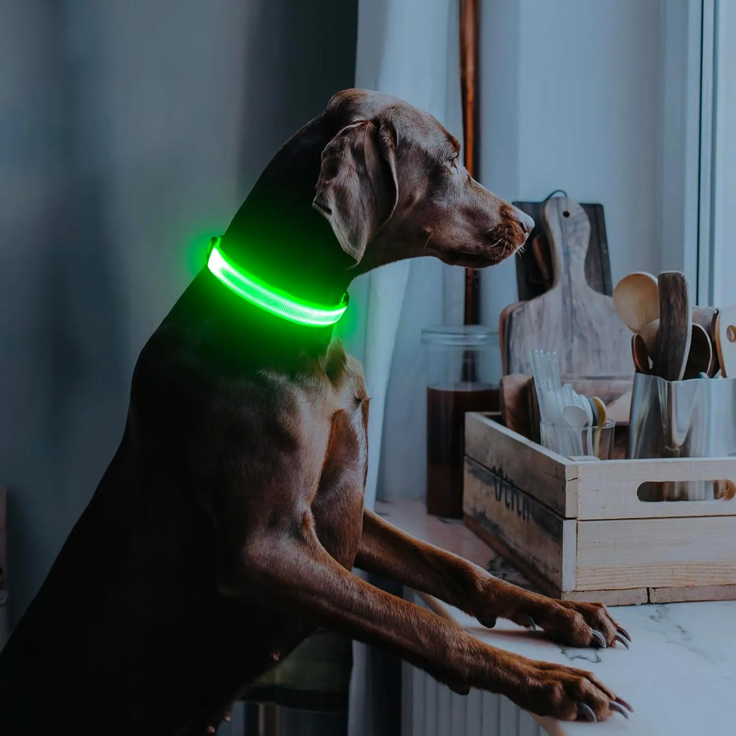 Illumifun LED ,USB ,(,)