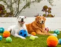 Jax & Bones - 3" Tennis Ball Plush Dog Toy