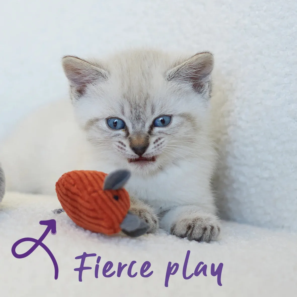 Kazoo Thrice the Mice Cat Toy