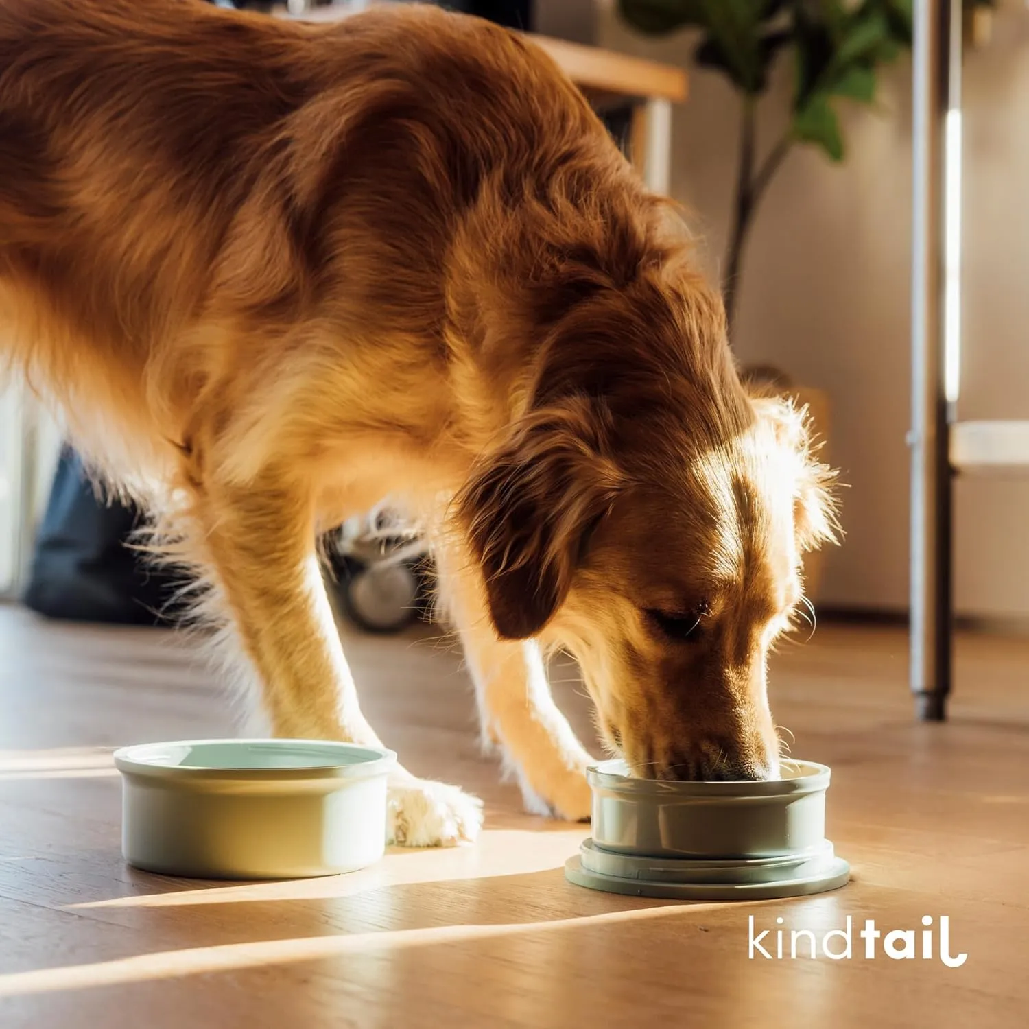 KindTail Dog Travel Bowls - Set of 2 Portable Pet Food & Water Dishes with Lid & Handle - Each Nesting Container Includes a Non-Slip Silicone Base - Microwave & Dishwasher Safe - BPA & Toxin-Free
