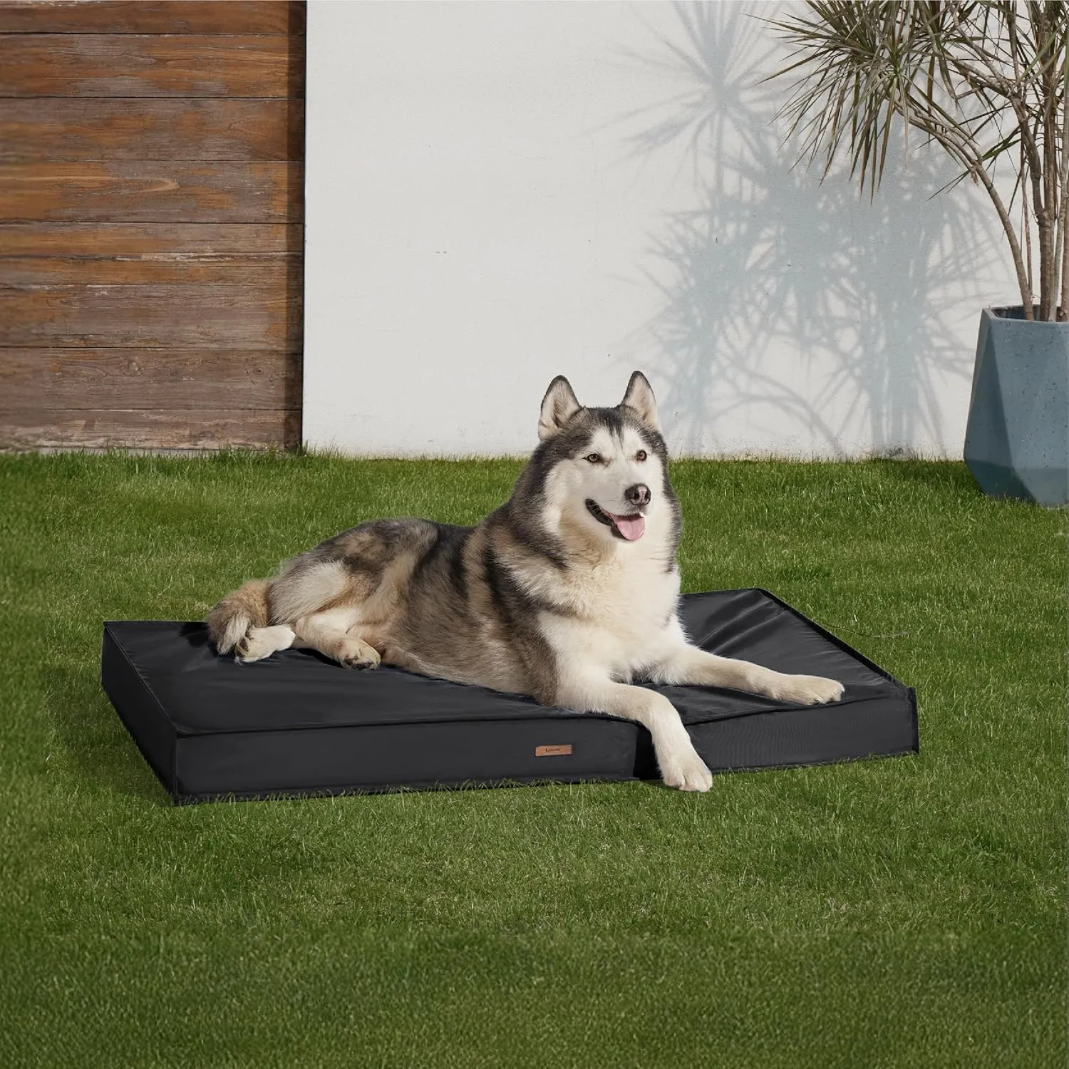 Lesure Outdoor Waterproof Dog Bed for Extra Large Dogs, Orthopedic Egg Crate Foam Pet Bed with Oxford Fabric Surface and Removable and Durable Cover, Machine Washable, 48''x30'', Black