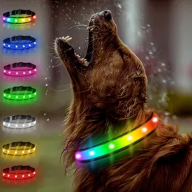 Light Up Collar - Rechargeable Multicolor LED Dog Collar with 1,000 Ft Visibility, Waterproof Glow in Dark for Night Walking (Black, L)