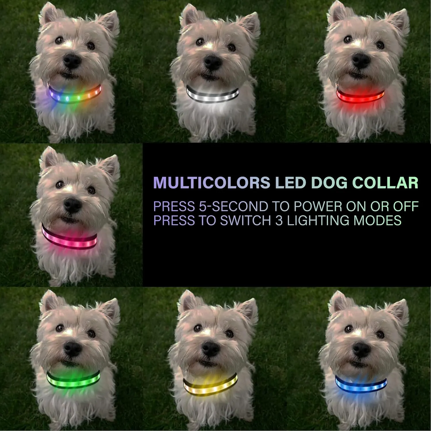 Light Up Collar - Rechargeable Multicolor LED Dog Collar with 1,000 Ft Visibility, Waterproof Glow in Dark for Night Walking (Black, L)
