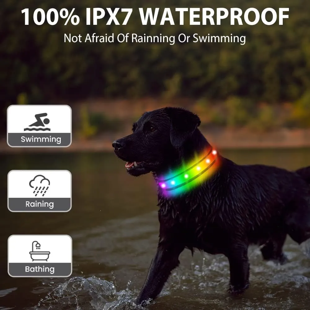 Light Up Collar - Rechargeable Multicolor LED Dog Collar with 1,000 Ft Visibility, Waterproof Glow in Dark for Night Walking (Black, L)