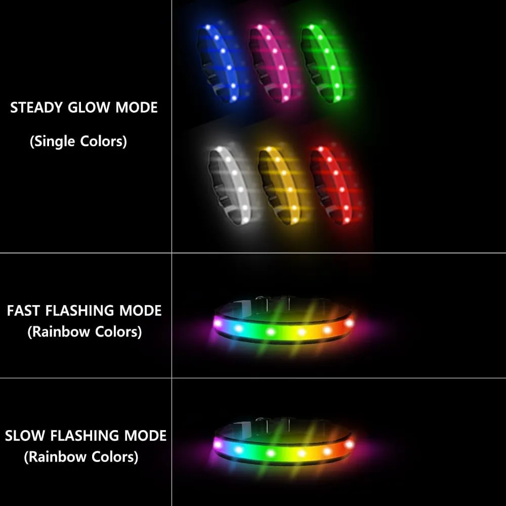 Light Up Collar - Rechargeable Multicolor LED Dog Collar with 1,000 Ft Visibility, Waterproof Glow in Dark for Night Walking (Black, L)