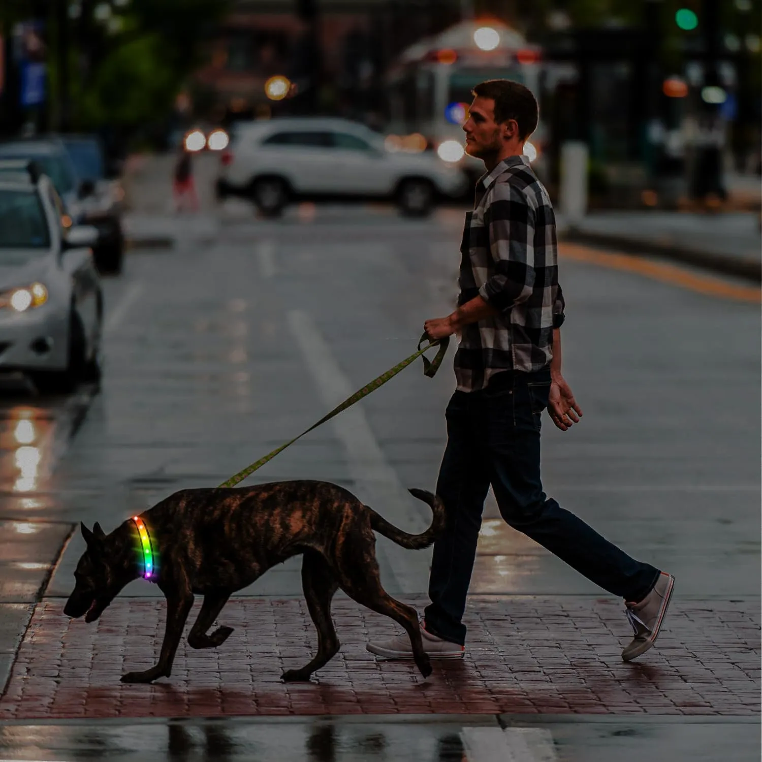 Light Up Collar - Rechargeable Multicolor LED Dog Collar with 1,000 Ft Visibility, Waterproof Glow in Dark for Night Walking (Black, L)