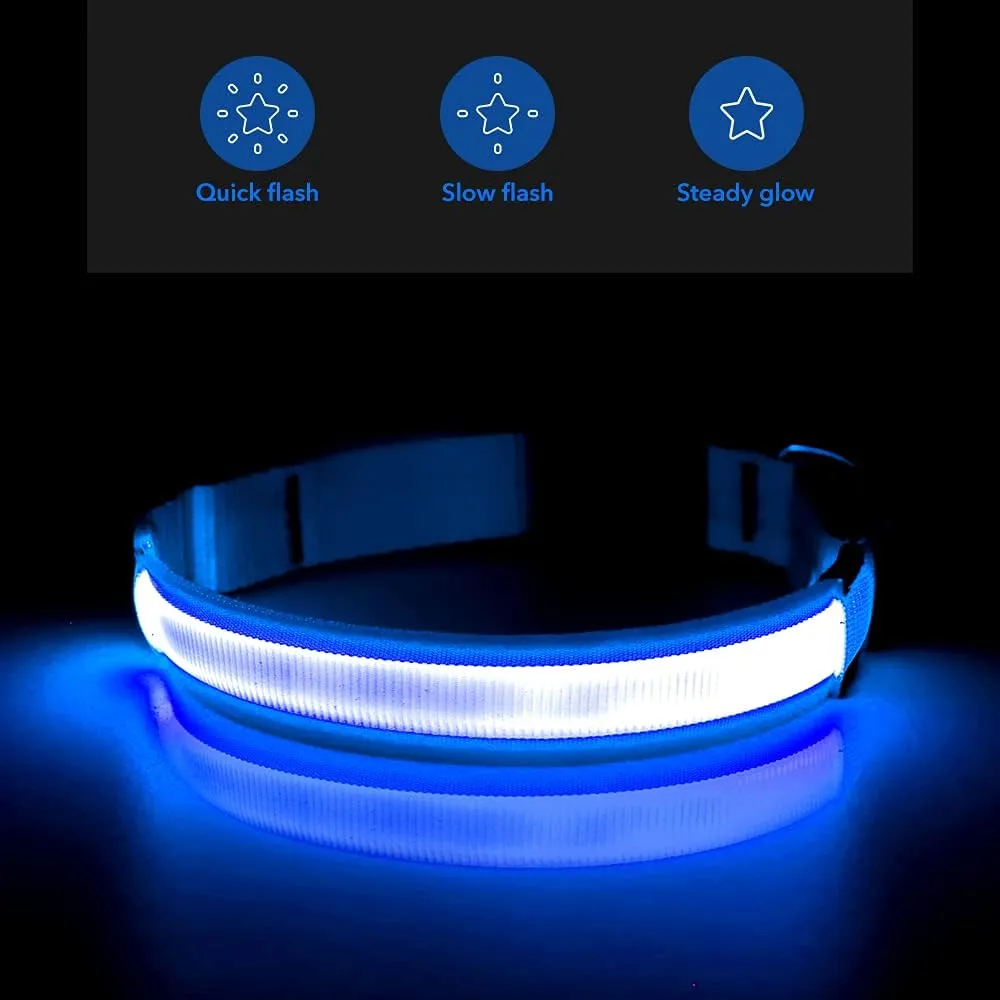 Light Up Dog Collar - Super Bright LED Dog Collar Rechargeable, Water-Resistant Glow in The Dark Dog Collars Flashing Safety Dog Lights for Night Walking and Camping (Royal Blue, Small)