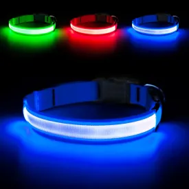 Light Up Dog Collar - Super Bright LED Dog Collar Rechargeable, Water-Resistant Glow in The Dark Dog Collars Flashing Safety Dog Lights for Night Walking and Camping (Royal Blue, Small)