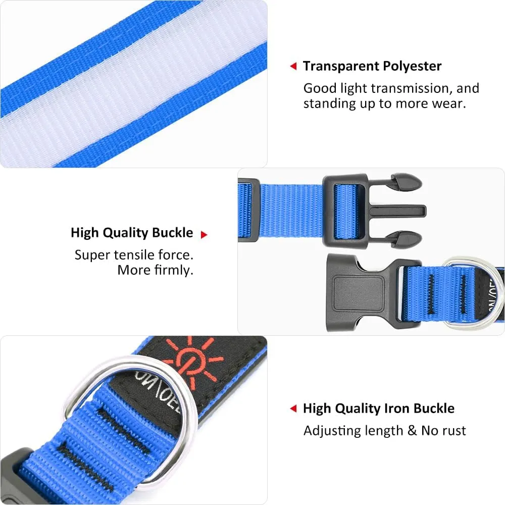 Light Up Dog Collar - Super Bright LED Dog Collar Rechargeable, Water-Resistant Glow in The Dark Dog Collars Flashing Safety Dog Lights for Night Walking and Camping (Royal Blue, Small)