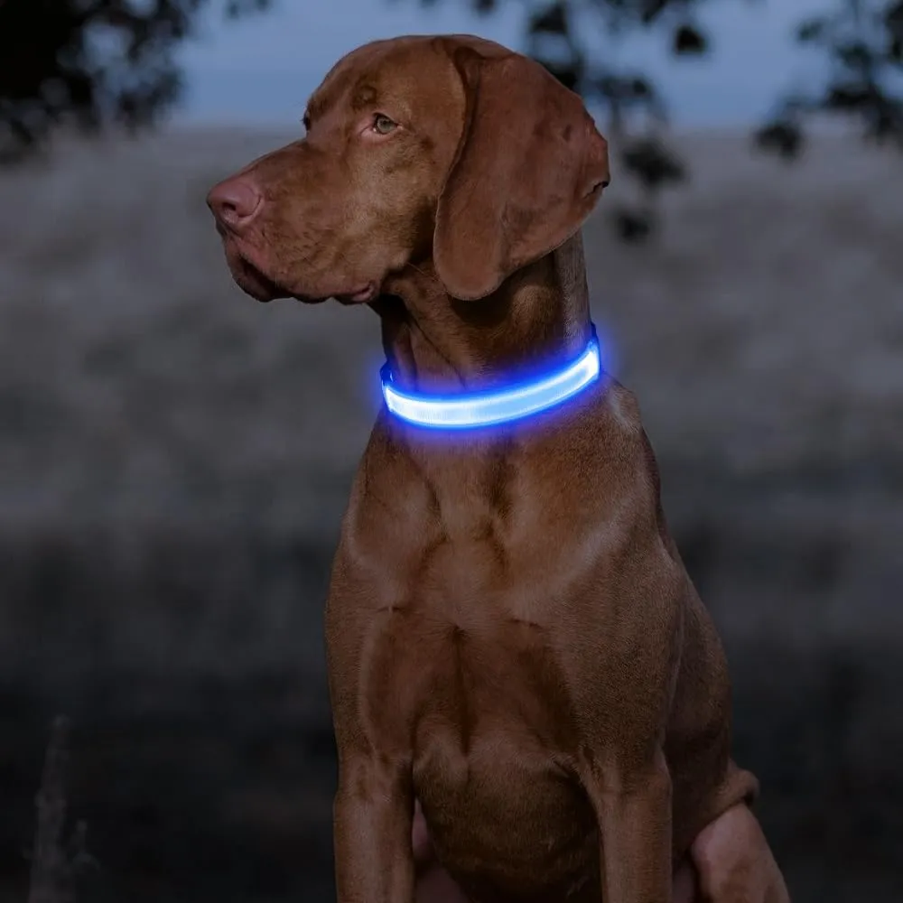 Light Up Dog Collar - Super Bright LED Dog Collar Rechargeable, Water-Resistant Glow in The Dark Dog Collars Flashing Safety Dog Lights for Night Walking and Camping (Royal Blue, Small)
