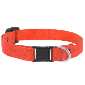 Lupine Basic Solids Safety Cat Collar 1/2" x 8"-12" Blaze Orange