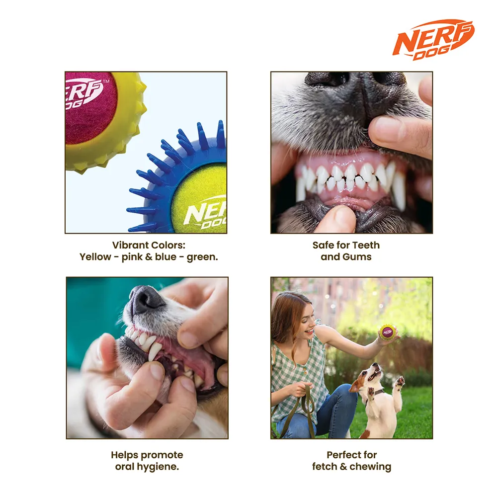 Nerf Dog Squeak Tennis Armor Toy for Dogs