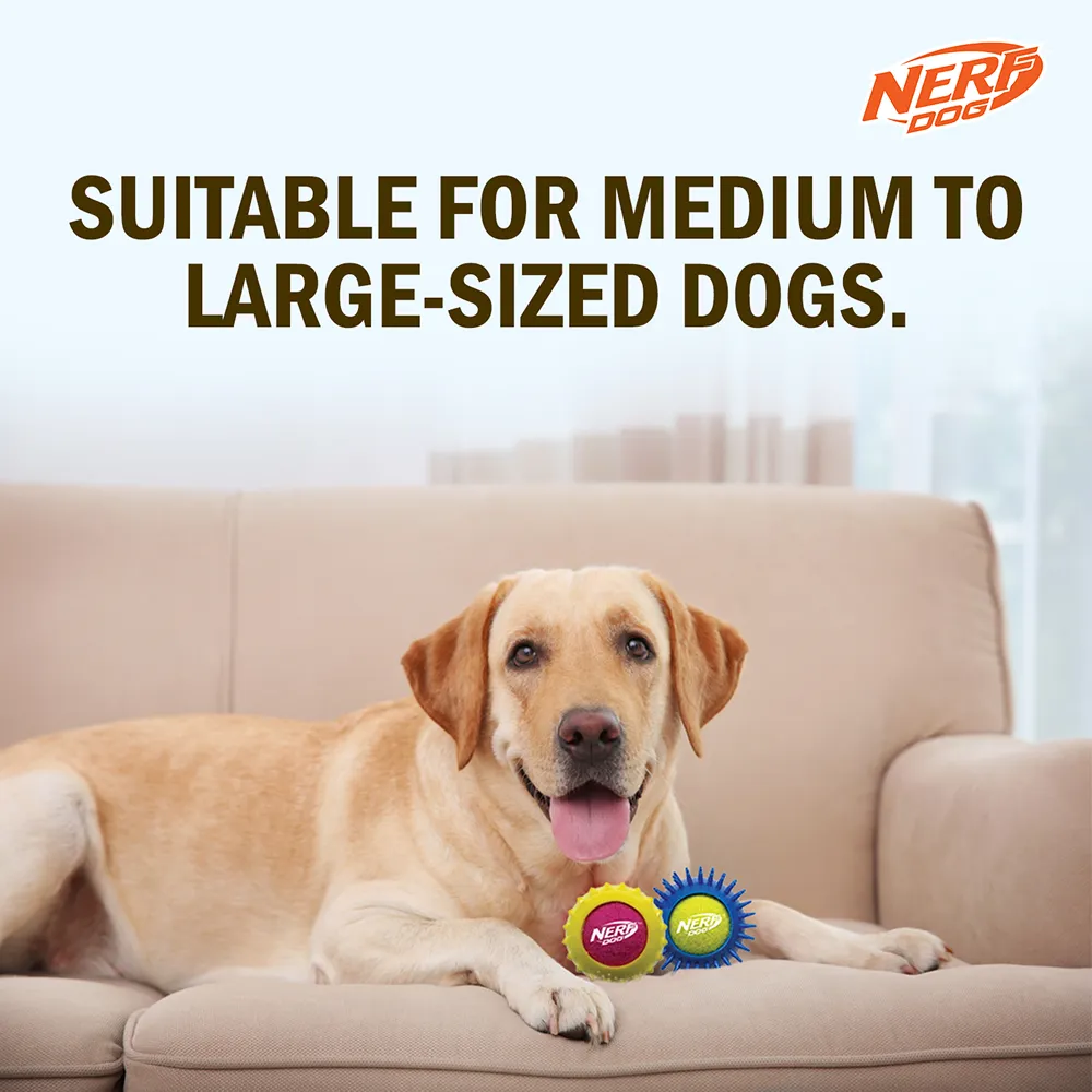 Nerf Dog Squeak Tennis Armor Toy for Dogs