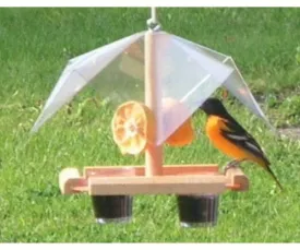 Oriole Feeder Buffet