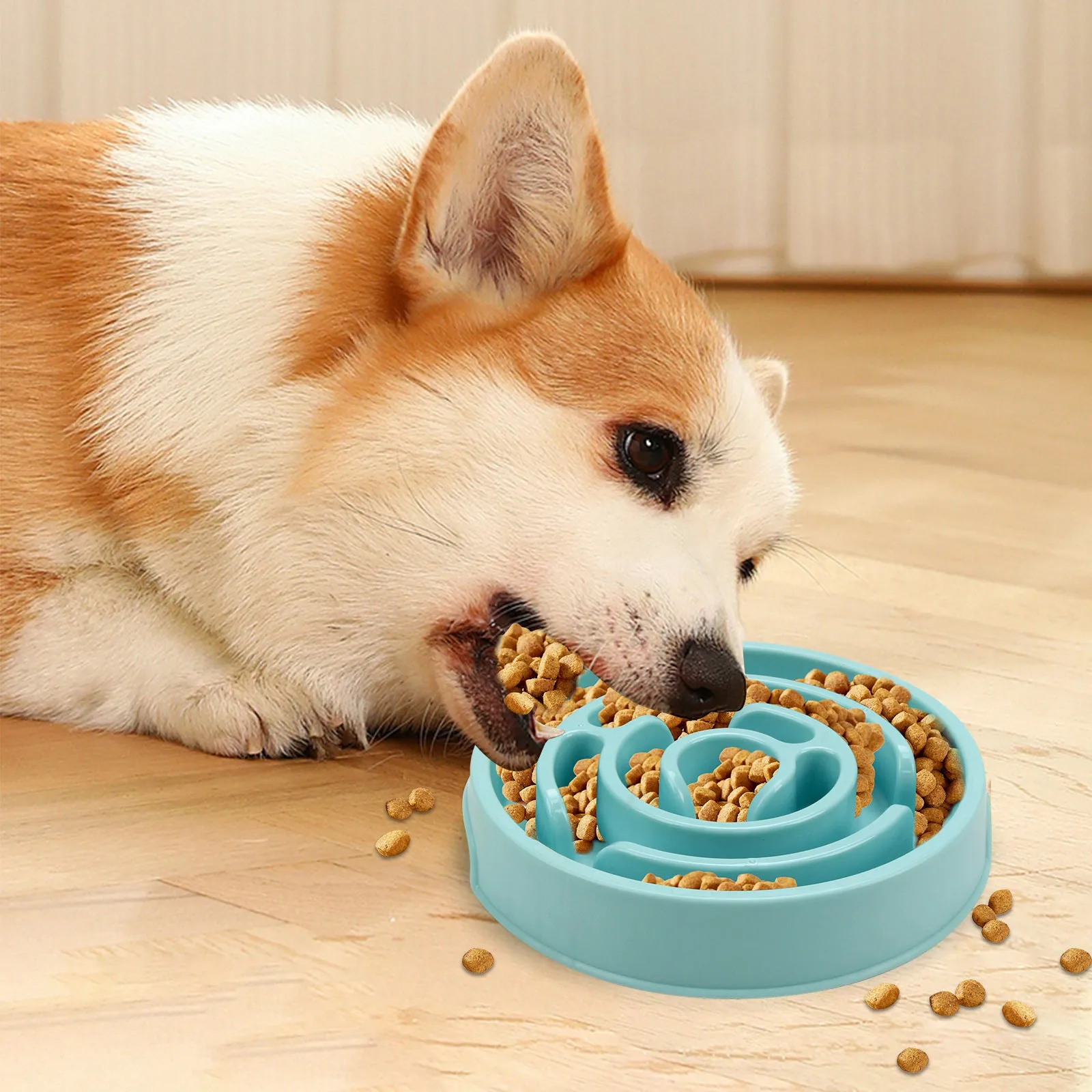 🔥Pet Slow Feeder Bowl
