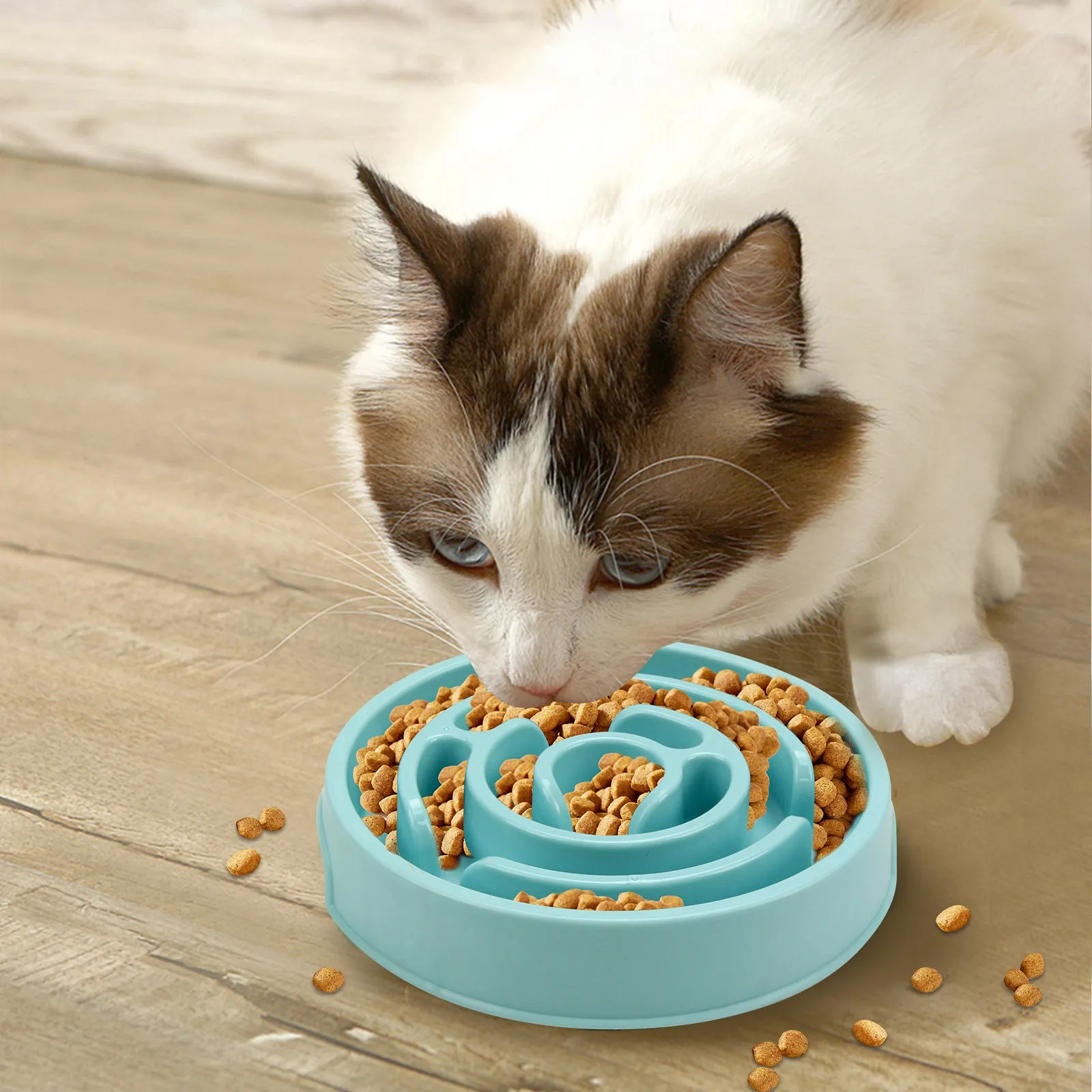 🔥Pet Slow Feeder Bowl