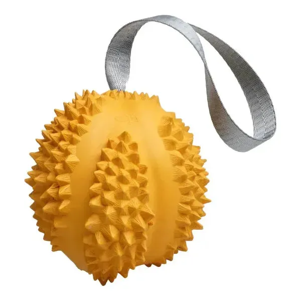 PETOPIA Ultra Tough Dog Toy Durable Durian