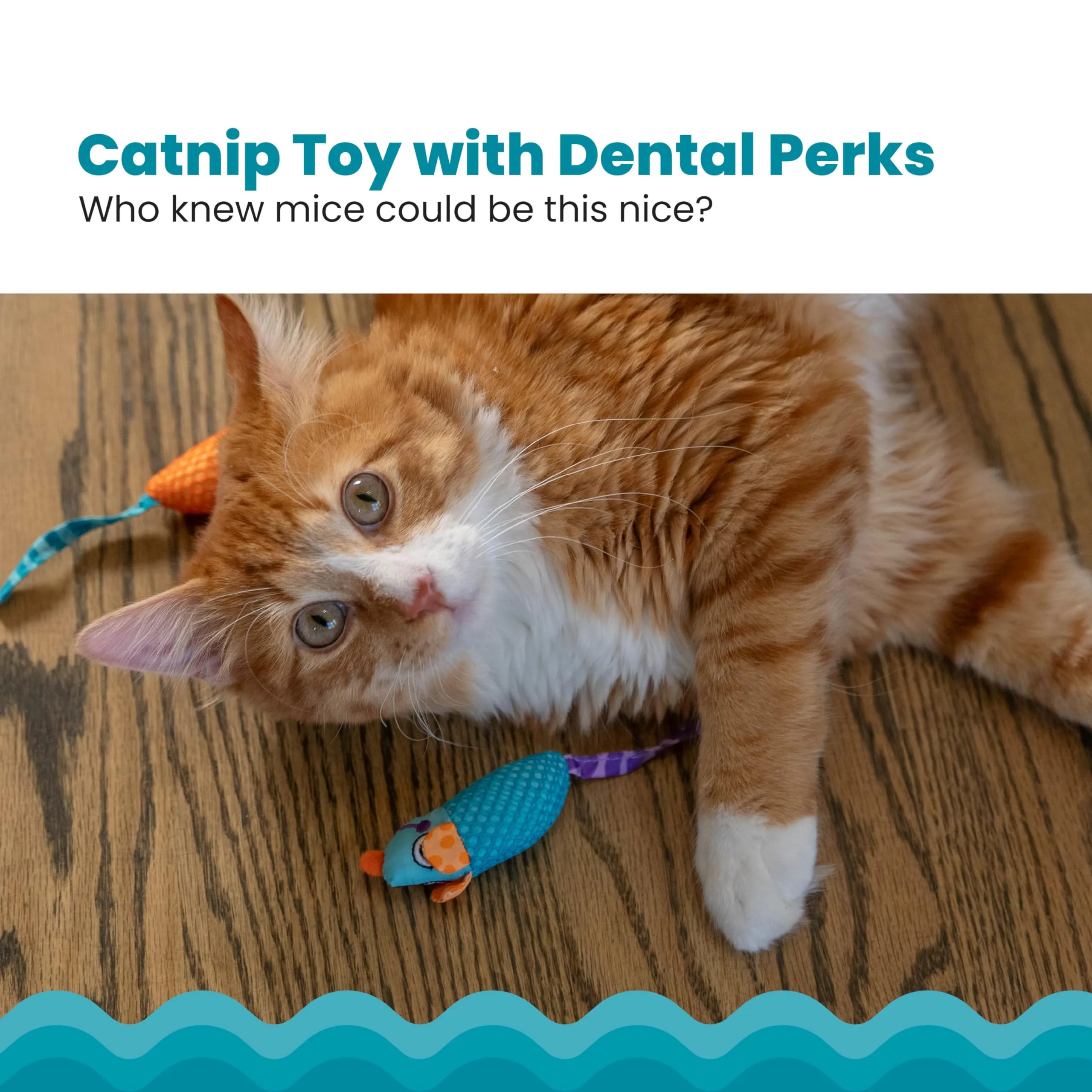 Petstages Mice Dental Floss Netted Chew and Plush Catnip Cat Toy - 2 Pack