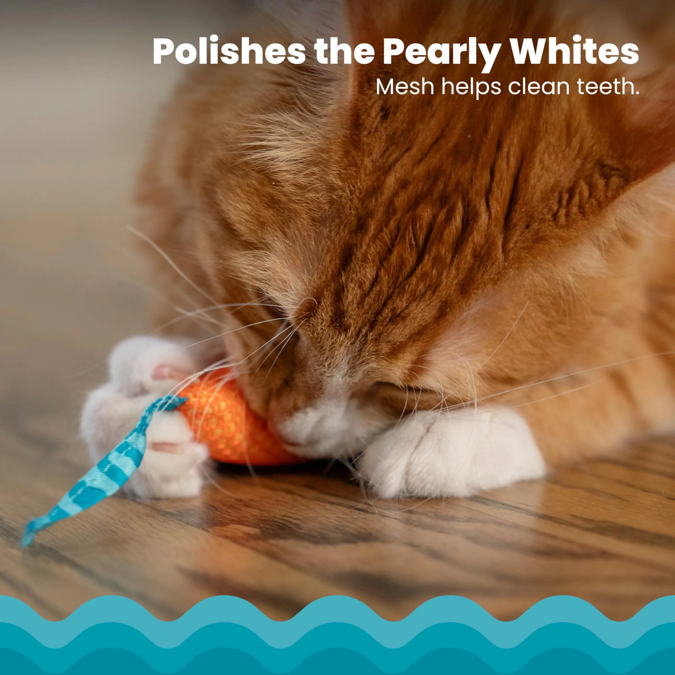 Petstages Mice Dental Floss Netted Chew and Plush Catnip Cat Toy - 2 Pack
