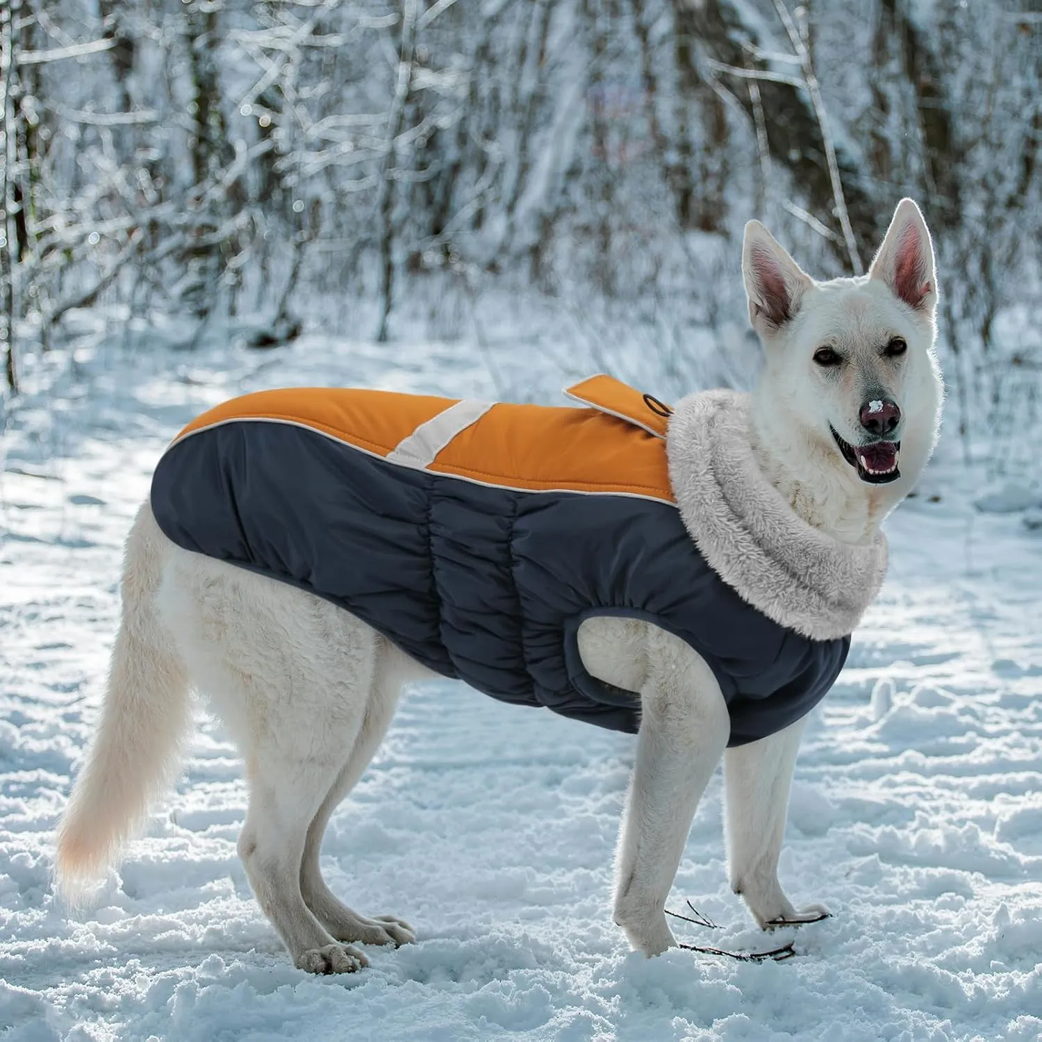 Queenmore Warm Fleece Dog Jacket, Cold Weather Waterproof Dog Snow Jacket with Leash Hole, Reflective Turtleneck Dog Snow Jacket Snowsuit,Dog Warm Coat for Small Medium& Large Dogs(Brown,M)
