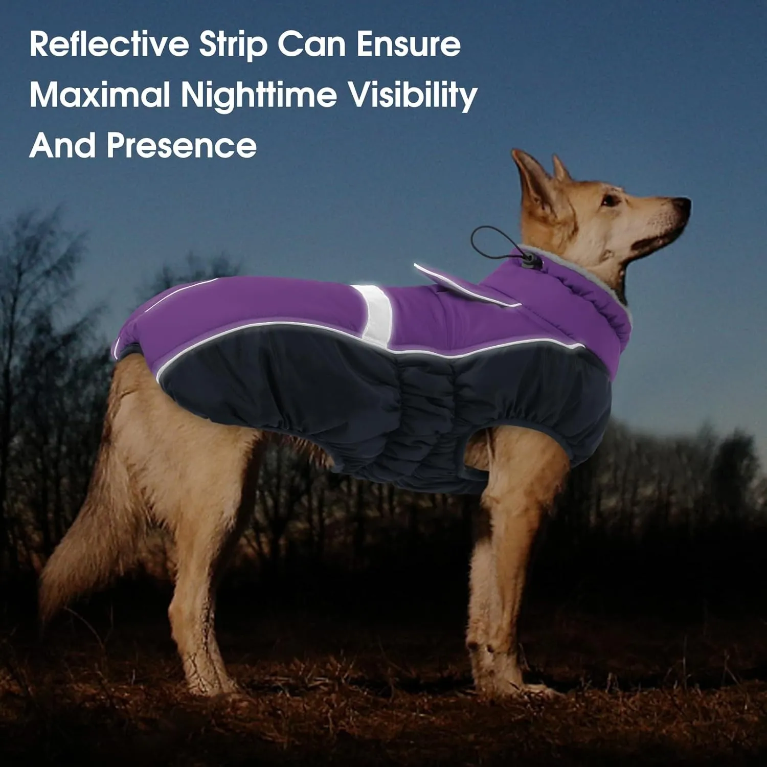 Queenmore Warm Fleece Dog Jacket - Cold Weather Waterproof Snow Jacket with Leash Hole, Reflective Turtleneck - Purple, Medium