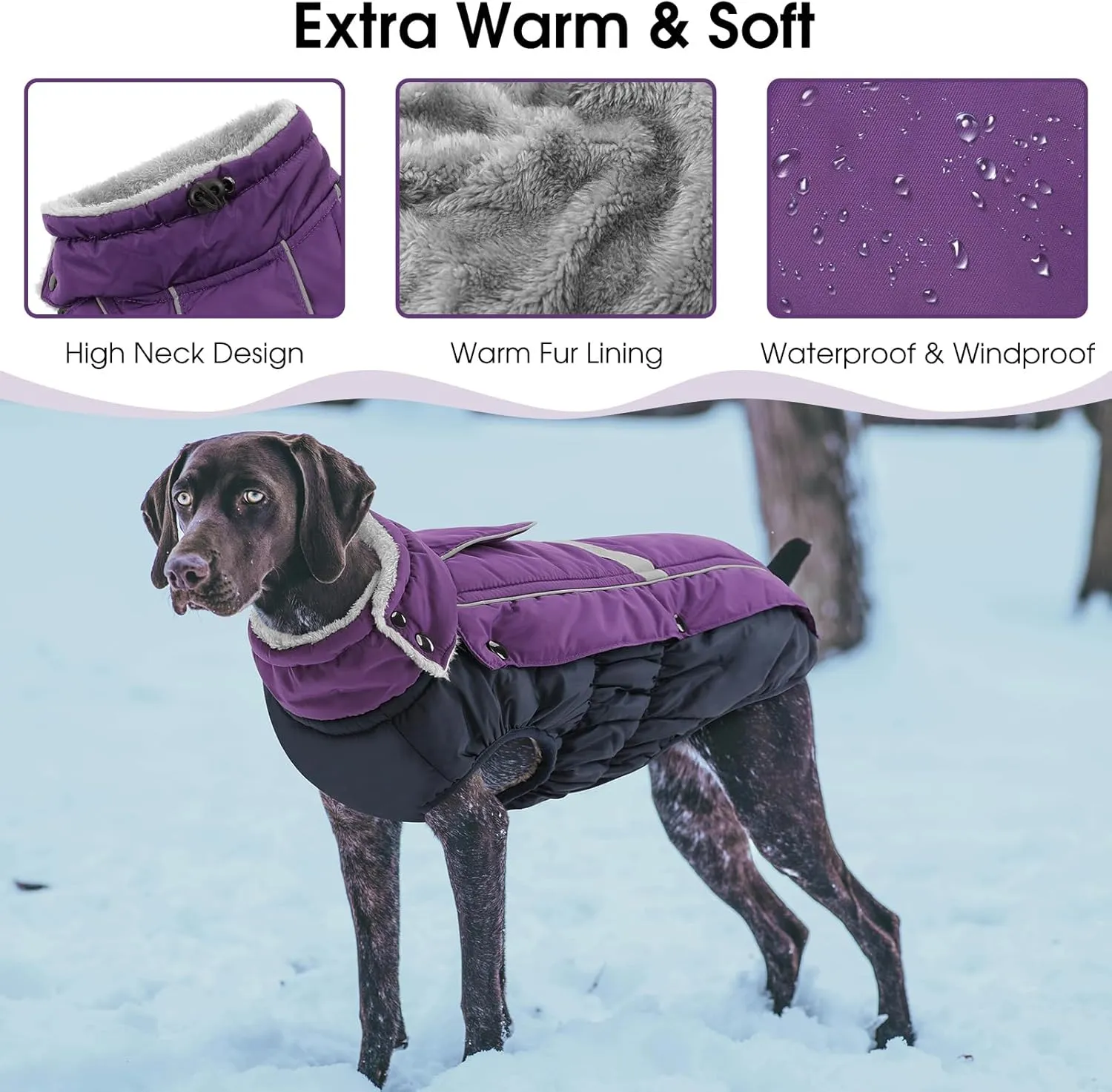 Queenmore Warm Fleece Dog Jacket - Cold Weather Waterproof Snow Jacket with Leash Hole, Reflective Turtleneck - Purple, Medium