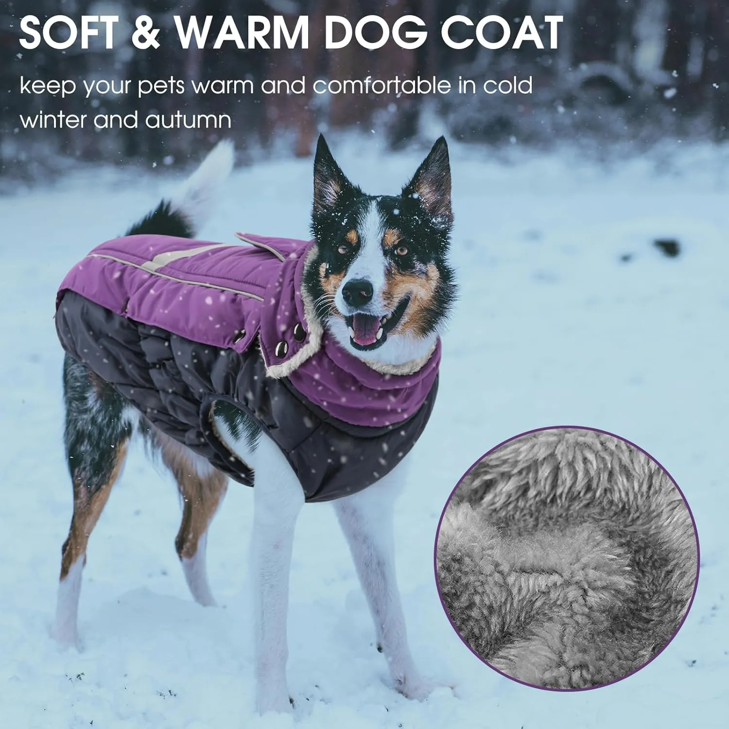Queenmore Warm Fleece Dog Jacket - Cold Weather Waterproof Snow Jacket with Leash Hole, Reflective Turtleneck - Purple, Medium