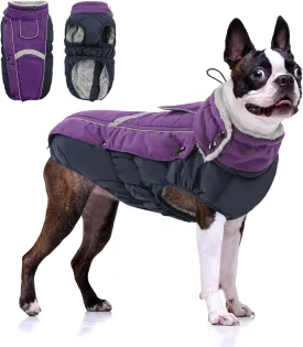 Queenmore Warm Fleece Dog Jacket - Cold Weather Waterproof Snow Jacket with Leash Hole, Reflective Turtleneck - Purple, Medium