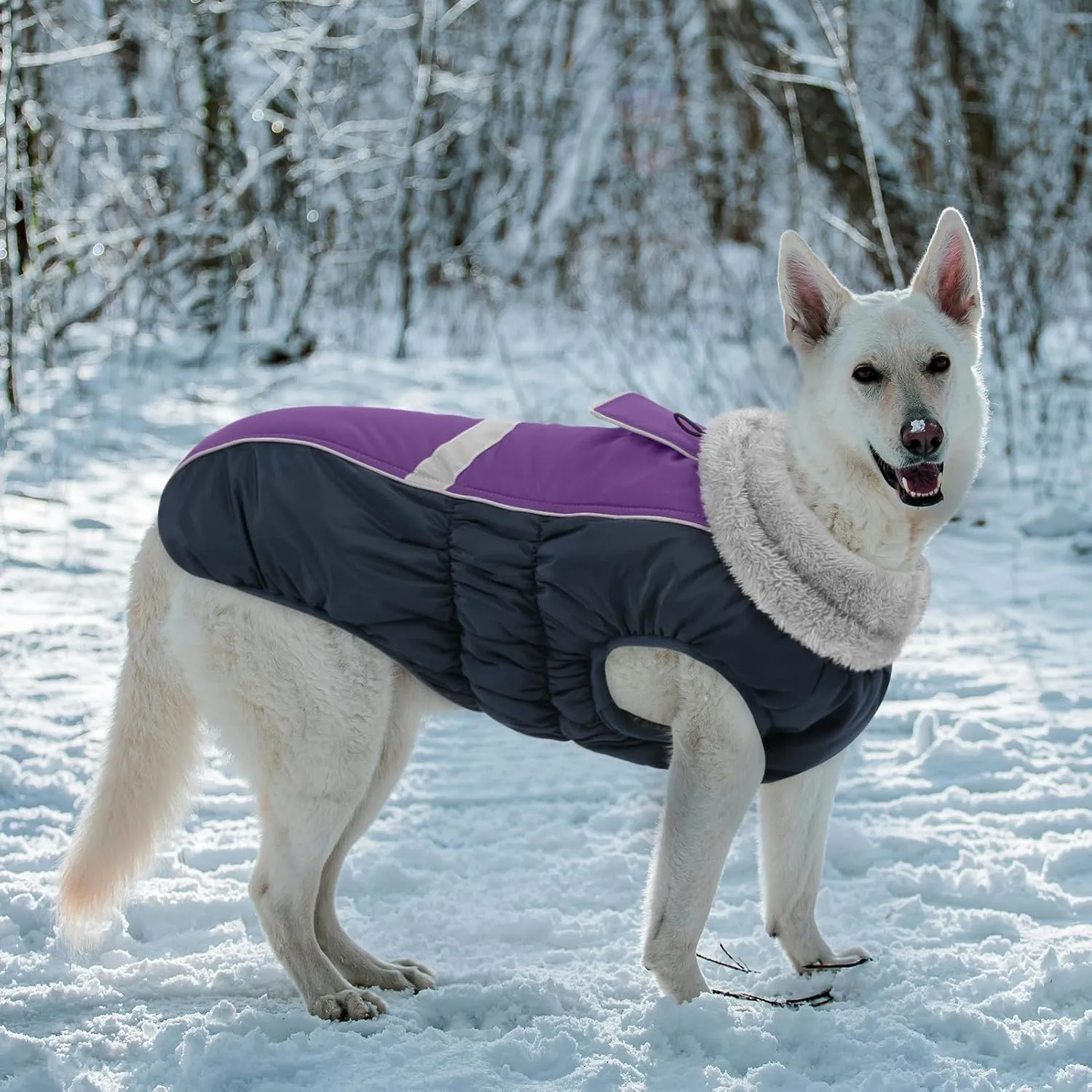 Queenmore Warm Fleece Dog Jacket - Cold Weather Waterproof Snow Jacket with Leash Hole, Reflective Turtleneck - Purple, Medium
