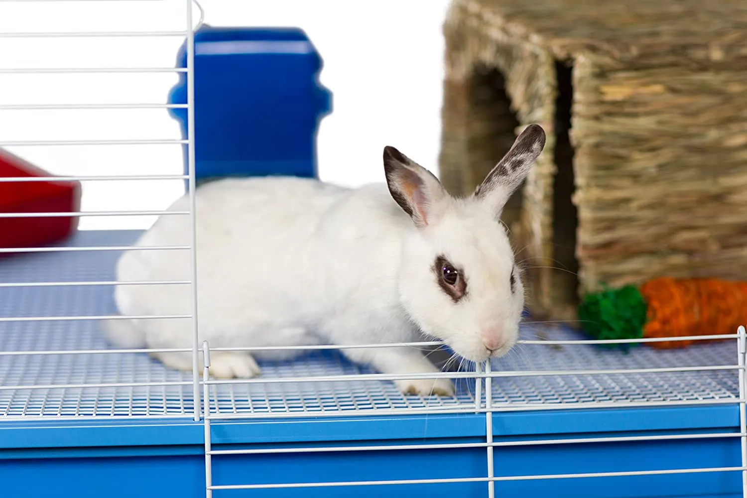 Rabbit Cage, Guinea Pig Cage - 47" L x 22" D x 37" H - Prevue 620 Small Pet Cage