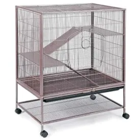 Rat and Chinchilla Cage - 31" L x 20.5" D x 40" H - Prevue Hendryx