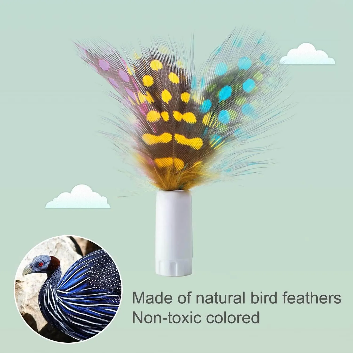 Replacement Feather for cat toys